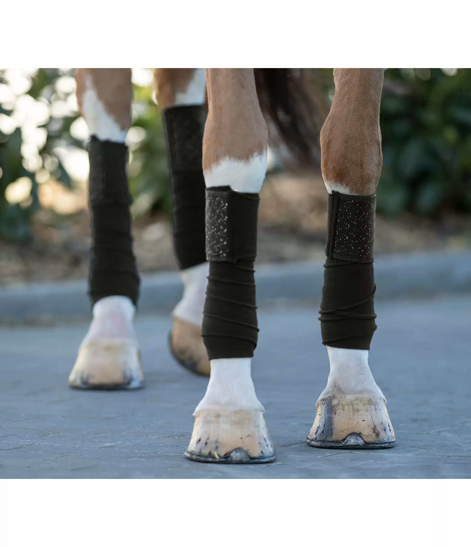Bandes en polaire  Sparkling II