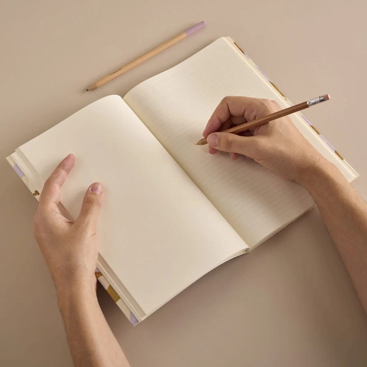 Journal jardin d'été